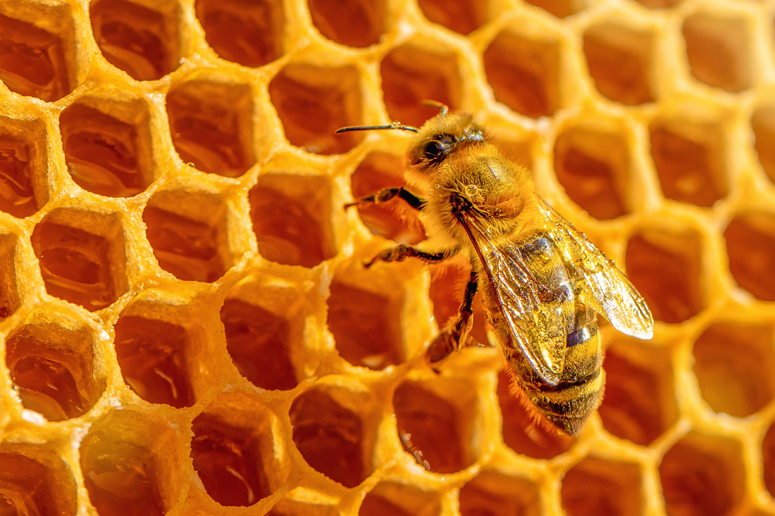 PURE WELL-BEING IN EVERY DROP