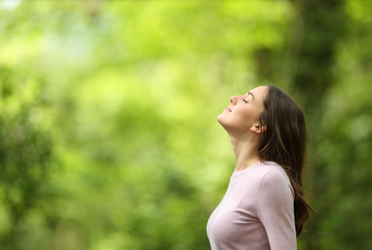Why Immune Support is Crucial Year-Round