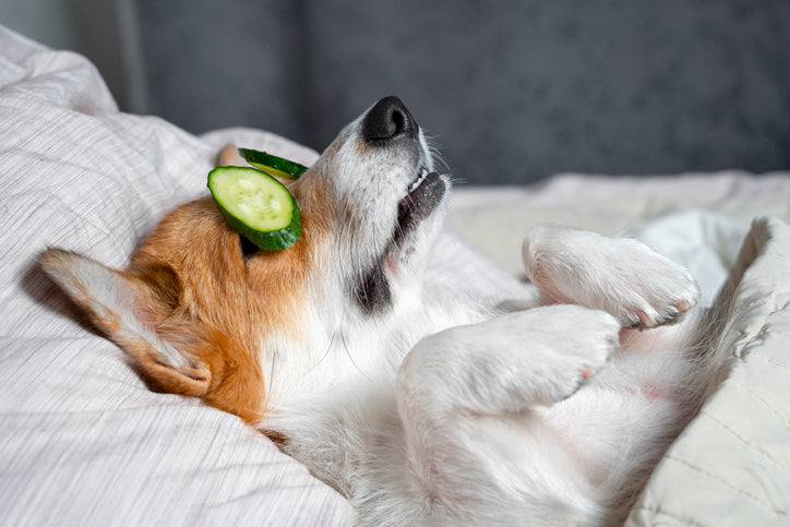 Relax and Destress From the Holidays