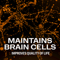 Brain Body Memory Vimergy Supplements Vitamins