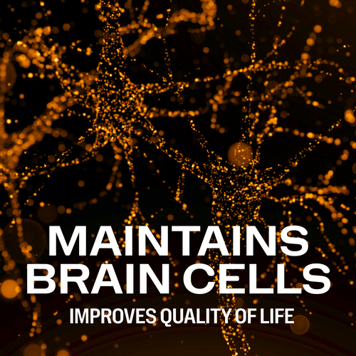 Brain Body Memory Vimergy Supplements Vitamins