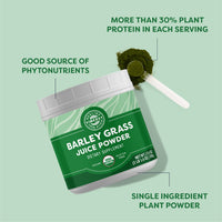 Organic Barley Grass Juice Powder Vimergy Supplements Vitamins 