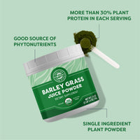 Organic Barley Grass Juice Powder Vimergy Supplements Vitamins