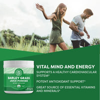 Organic Barley Grass Juice Vimergy Supplements Vitamins 