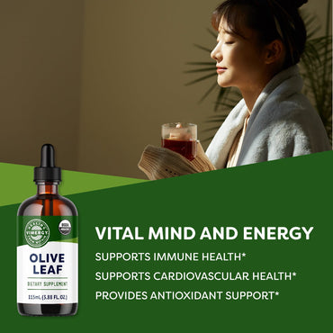files/organic-olive-leaf-10-1-vimergy-supplements-vitamins-36303363899562.jpg