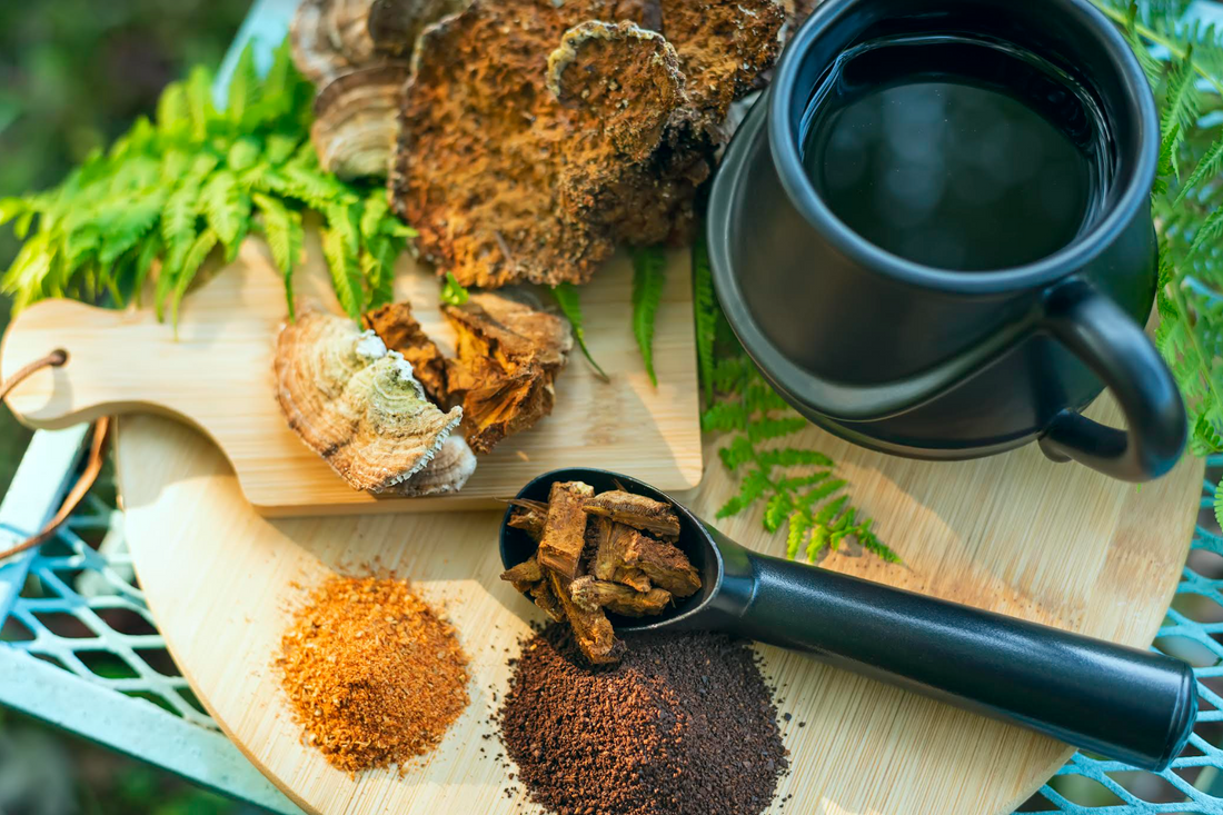 Unlocking Wellness: The Benefits of Mushroom Tea*