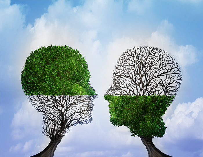 Supplement Pairings: Complementary Benefits