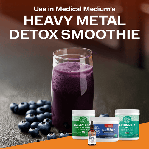 Organic Wild Blueberry Powder Brain Body Protect VIMERGY Supplements Vitamins