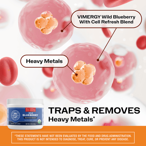 Organic Wild Blueberry Powder Brain Body Protect VIMERGY Supplements Vitamins