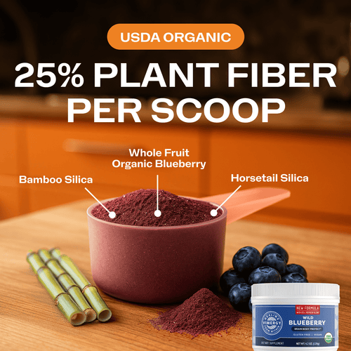 Organic Wild Blueberry Powder Brain Body Protect VIMERGY Supplements Vitamins