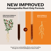 Lemon Balm Ashwagandha Brain Body Rescue Kit VIMERGY Supplements Vitamins|type_update