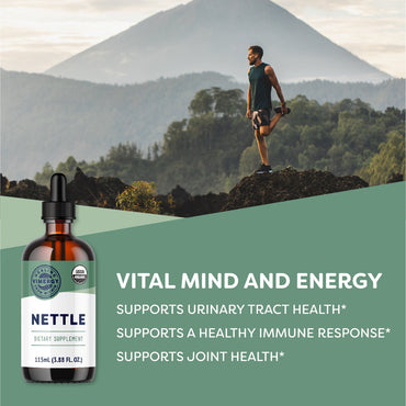 files/organic-nettle-10-1-vimergy-supplements-vitamins-36303357640874.jpg