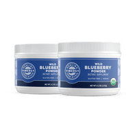 Organic Wild Blueberry Powder Brain Body Protect VIMERGY Supplements Vitamins|type_hero