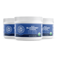 Organic Wild Blueberry Powder Brain Body Protect VIMERGY Supplements Vitamins|type_hero