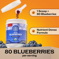 Organic Wild Blueberry Powder Brain Body Protect VIMERGY Supplements Vitamins