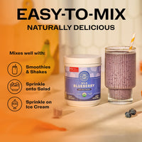 Organic Wild Blueberry Powder Brain Body Protect VIMERGY Supplements Vitamins