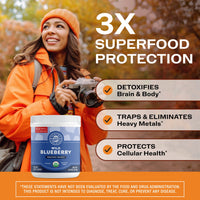 Organic Wild Blueberry Powder Brain Body Protect VIMERGY Supplements Vitamins